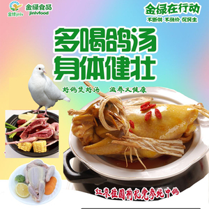 新鲜肉鸽炖汤生鲜现发信鸽鸽子乳鸽青年鸽营养4只装广东包邮农家