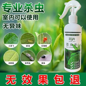 杀虫王百虫灵杀虫剂花卉杀虫药植物通用花药喷雾剂小飞虫