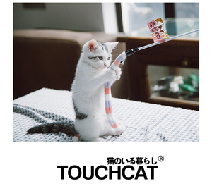 胖橘便利店 Touchcat猫咪喵玩具逗猫棒毛毛虫铃铛仙女棒