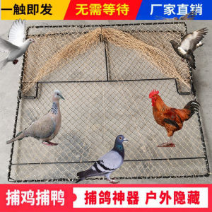 捕神器抓天落鸽笼户外信赛鸽收鸡网逮鸽运输网野全自动拍送防护网