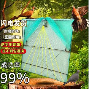 抓鸽子神器收鸽鸡笼全自动户外专用拍门跳笼网格天落笼加密防逃脱