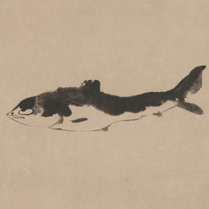 清八大山人朱耷国画真迹《鱼》竖幅挂轴水墨书画真迹高清微喷复制