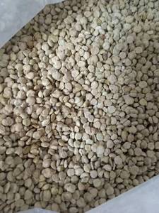 90普启堂旗舰店天猫野生牛尾菜根 牛尾蕨 牛尾结 伸马尾筋 金刚豆藤