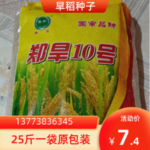 旱稻种籽谷种郑旱10号水稻种子抗旱优质抗倒伏高产可达1200斤现货