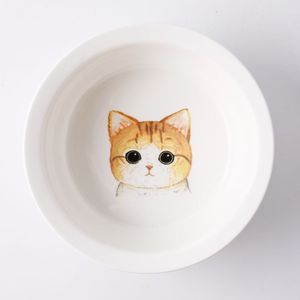 宠物用品猫盆狗盆中小型猫粮盆陶瓷单碗狗碗狗盆猫咪吃饭喝水