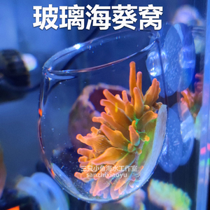 海水缸玻璃陶土罐奶嘴海葵巢珊瑚窝造景杯盆鱼缸装饰小丑鱼躲避屋