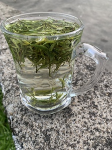 绿茶新茶马坑野生茶2022年春茶安徽东至源口茶叶高山野生茶250克