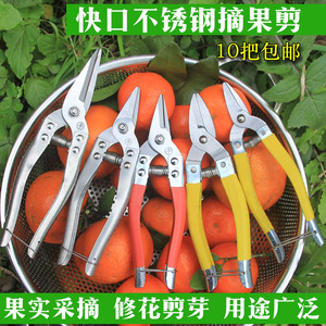 丰钻不锈钢摘果剪刀采柑桔剪蔬果剪花艺剪家用剪果树剪刀罗定剪刀