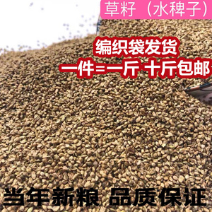 鸟世界粮食当年新10斤包邮玉辽宁锦州草籽水稗子