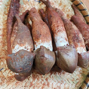 云南野生菌黑帽鸡枞鲜货煲汤煮火锅爆炒吃刺青2斤530元顺丰包邮