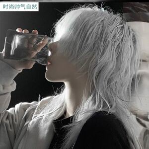 男士头发套短发