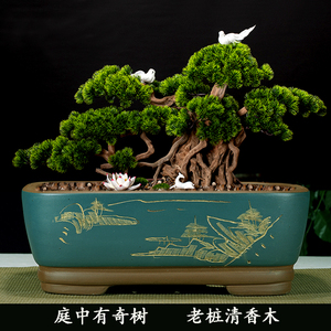 长方形花盆室内桌面阳台绿植小叶紫檀黄杨老桩罗汉松树紫砂盆景盆