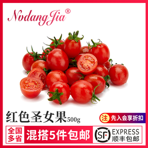 圣女果新鲜小番茄水果当季西红柿自然熟生吃沙拉蔬菜千禧果1000g