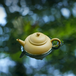 【陶源】宜兴原矿名家刘雪琴纯全手工家用紫砂壶本山绿水平 150cc