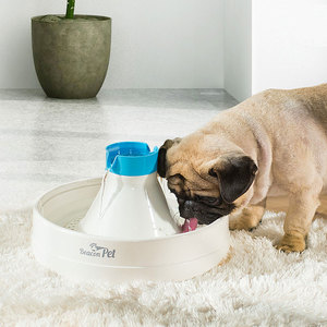 宠物自动饮水器绿洲之光喂水大型犬电动循环狗狗饮水机泰迪用品