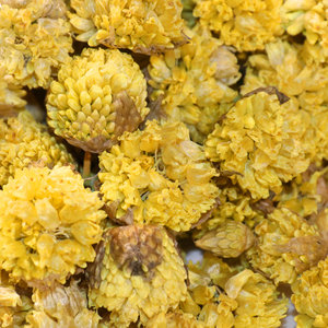 甘肃甘南特产藏区草原野生黄葱花100g炝锅浆水面拌面泼面山葱精品