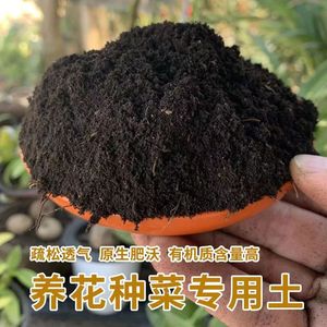 恩施富硒森林腐叶土养花种菜专用黑土土壤通用型营养土腐熟腐殖土