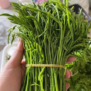 云南辣椒面珠江源魔芋豆腐粉云南云南酸角十九怪云南藠头折耳根云南