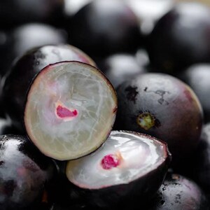 沙巴嘉宝果新鲜现摘香甜多汁水果鲜果罕见当季孕妇水果3/斤顺丰