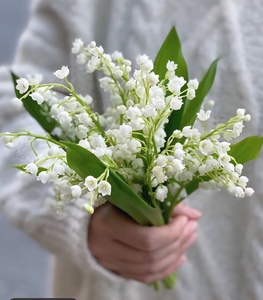 铃兰荷兰进口鲜切花 新娘手捧鲜花高端花材 家庭水养花上海发包邮