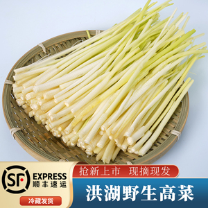 顺丰空运洪湖野生高菜湖北特产篙菜蒲笋野茭白草心芦时令蔬菜野菜