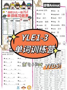 剑桥少儿英语YLE一二三级单词练习题Starters/Movers/Flyer单词