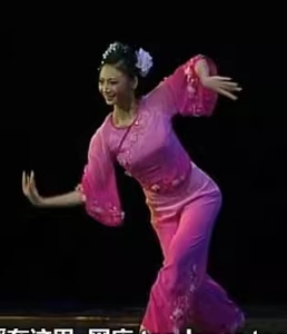 2014新款古典舞蹈《朝花夕拾》独舞伴舞演出服装 扇子广场演出服