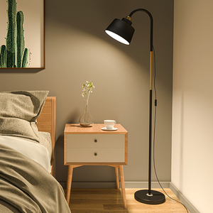 北欧极简ins风轻奢客厅落地灯简约现代创意金色卧室床头立式台灯