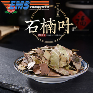 石楠叶中药材500g风药石南叶红树叶石岩树叶乌饭果叶石楠叶南珠叶