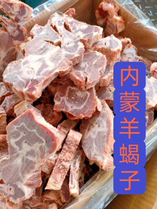 新鲜冷冻羊蝎子多肉内蒙羊脊骨20斤火锅私房菜食材江浙沪皖包邮