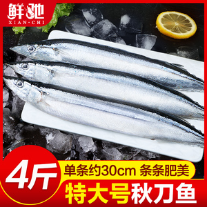 新鲜秋刀鱼冷冻特大号日式料理烧烤深海鱼食材海鲜水产鲜活商用