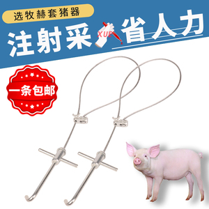 套猪嘴猪用金属套猪器拉猪绳塑料兽用打针猪套嘴器抓猪神器保定器