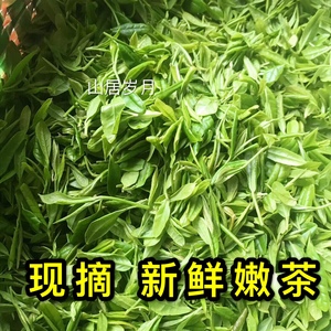 茶芽尖绿茶
