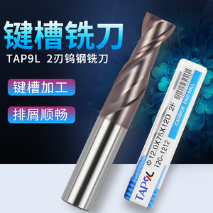 TAP9L九利55度钨钢铣刀2刃两齿双刃硬质合金立铣刀二刃键槽平底刀