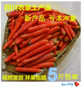 自贡红萝卜新鲜