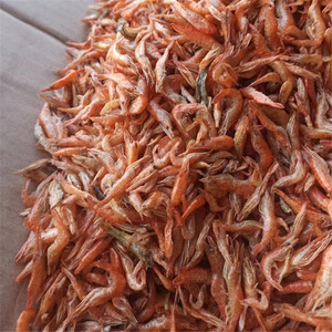 六安干虾子农家干货土特产小虾干淡水河虾干250g新鲜干虾米虾皮干