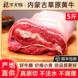 内蒙古牛腩肉新鲜生牛肉新鲜生鲜商用纯牛腩冷冻牛肉粒真牛肉整块