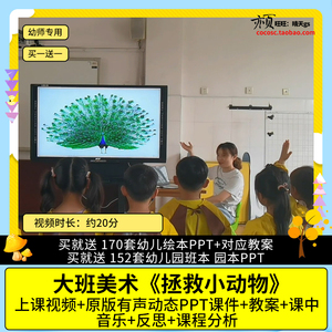 幼儿园优质公开课大班美术《拯救小动物》视频PPT课件教案示范课