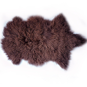 滩羊皮整张宁夏滩羊毛皮毛一体皮草原料毛皮长毛毛羊皮料羊毛卷毛