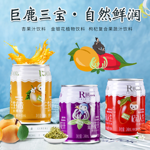 公益专线润浪好喝的枸杞金银花杏饮料果汁饮品特价混合8罐装