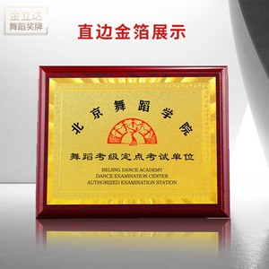 中国舞蹈家协会考级证书拉丁舞铜牌荣誉牌匾儿童教育培训机构奖牌