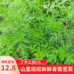 001人付款淘宝艾草种子食用药用驱蚊草艾叶种籽野生大小叶艾蒿青蒿
