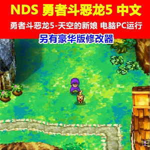 NDS勇者斗恶龙5天空的新娘 中文游戏下载/PC运行电脑单机游戏