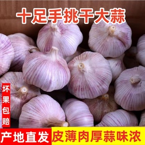 干蒜5斤2024新鲜祘头紫皮白皮大蒜头籽9斤农家蒜米种子食用非鲜蒜