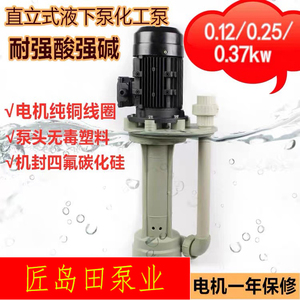 防腐蚀耐酸碱液下泵立式化工泵离心泵0.12~0.37kw抽液小型污水泵