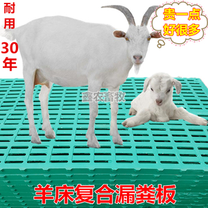 羊床漏粪板新型复合猪羊用流粪羊舍圈羊棚场栏屎尿板养羊专用配件