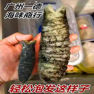 海参淡干参