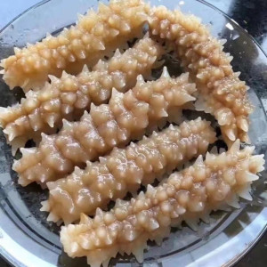 黄肉海参黄玉