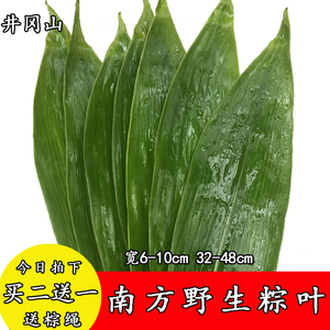 江西新鲜粽叶图片