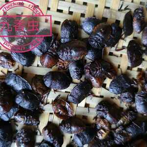 九香虫500克包邮